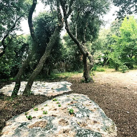Les Yeux Bleus, Bohème, Pétanque Et