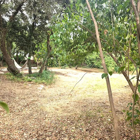 בית נופש Les Yeux Bleus, Boheme, Petanque Et